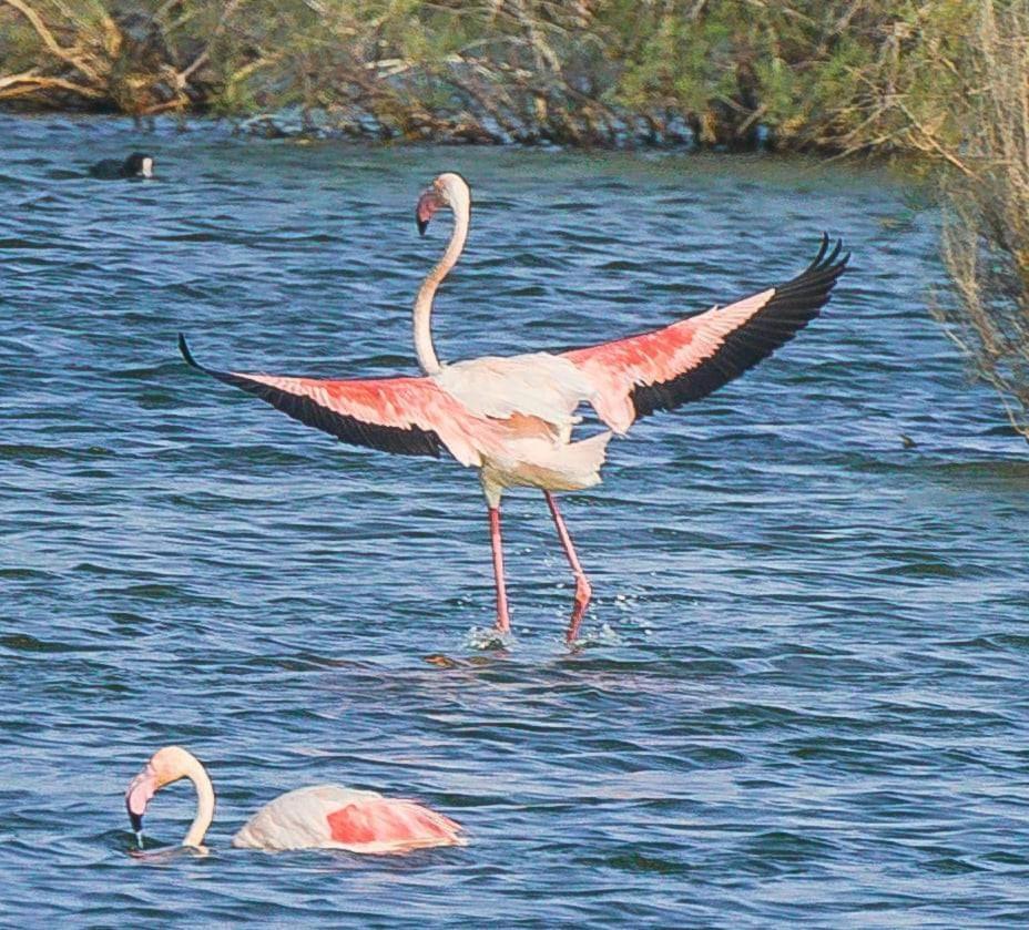 Playas de Vera Rincon Del Salar 아파트 외부 사진